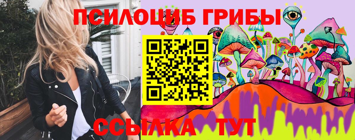 Псилоцибиновые грибы мицелий  Вход с VPN  Кызыл 