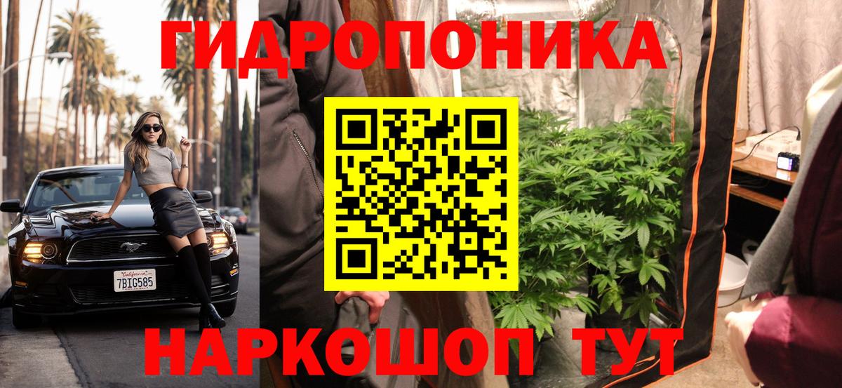 Кызыл  Бошки марихуана тримм  Шишки марихуана семена  Вход с VPN 